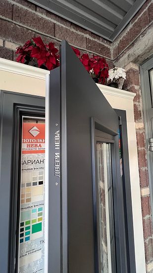 Входная дверь  